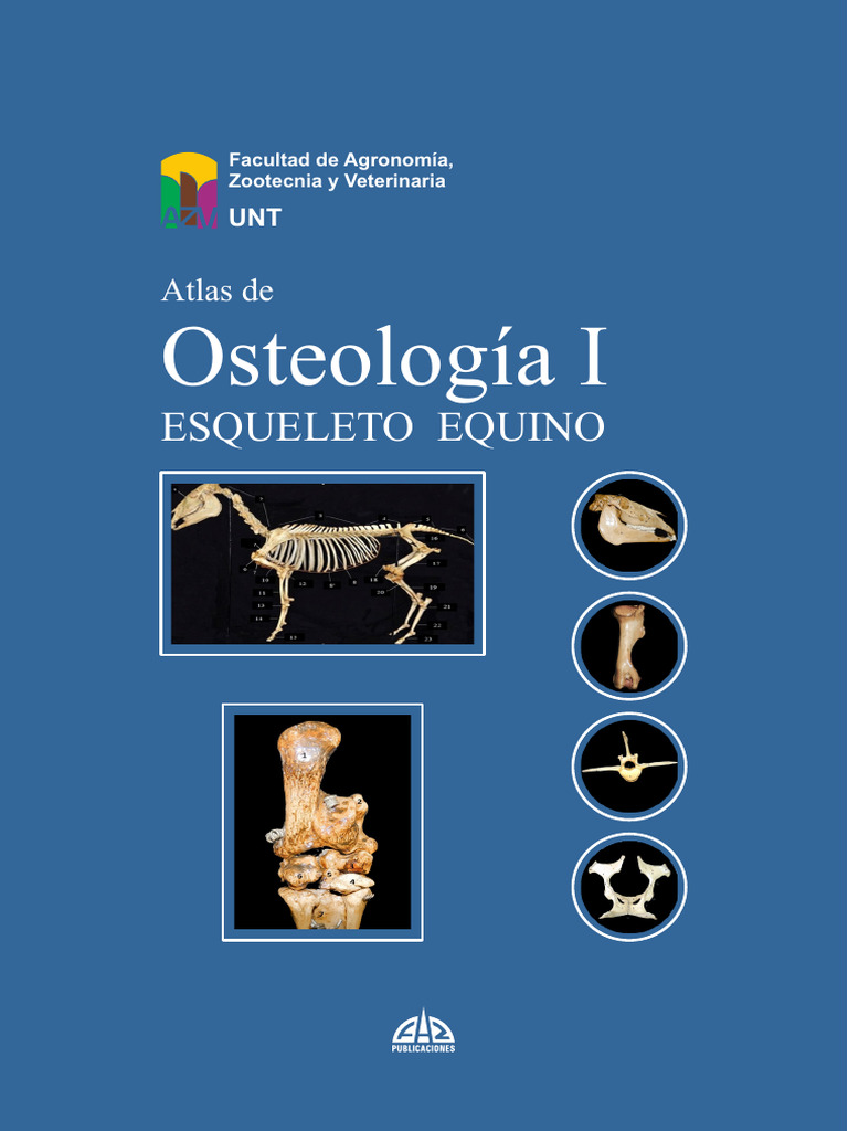 Atlas De Osteologia I Esqueleto Equino Pdf