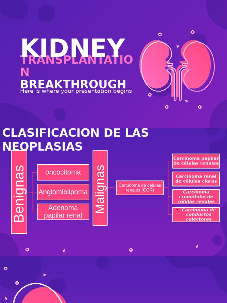 Riñon Aquí | PDF
