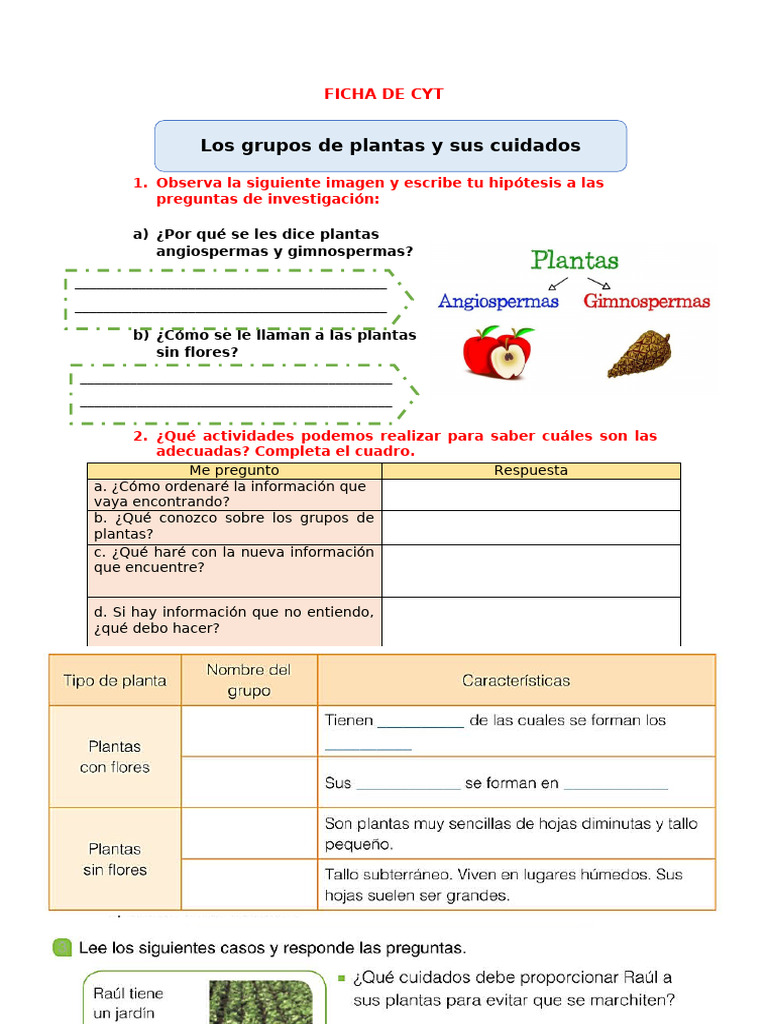Ficha Cyt Mart 1 Grupo de Plantas 933623393 Prof Yessenia | PDF