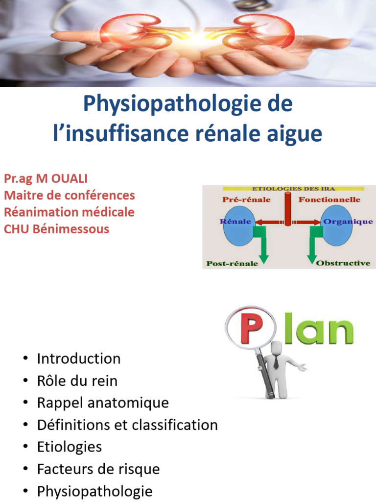 physiopathologie-de-l-insuffisance-r-nale-aigu-pdf-rein-organe