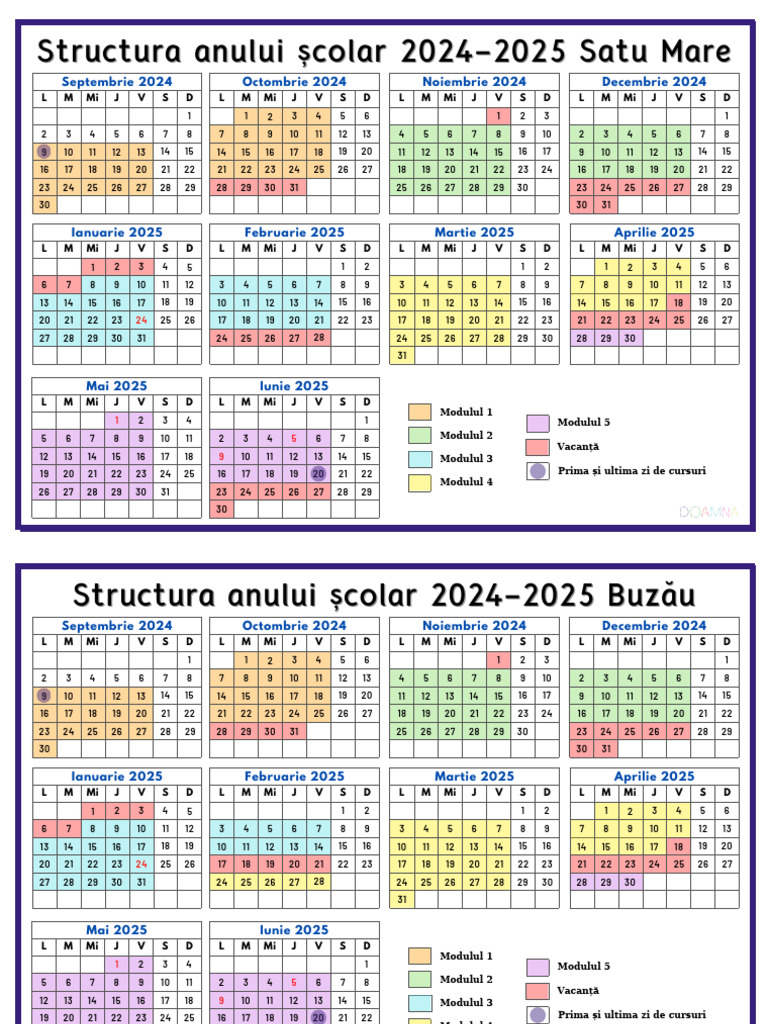 Structura Anului Scolar 2024 2025 Satu Mare | PDF