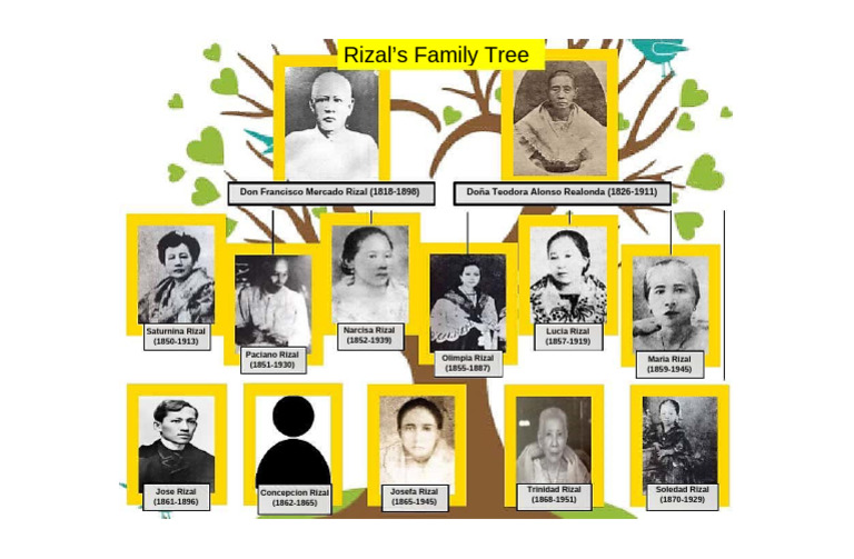 Rizal's Family Tree | PDF