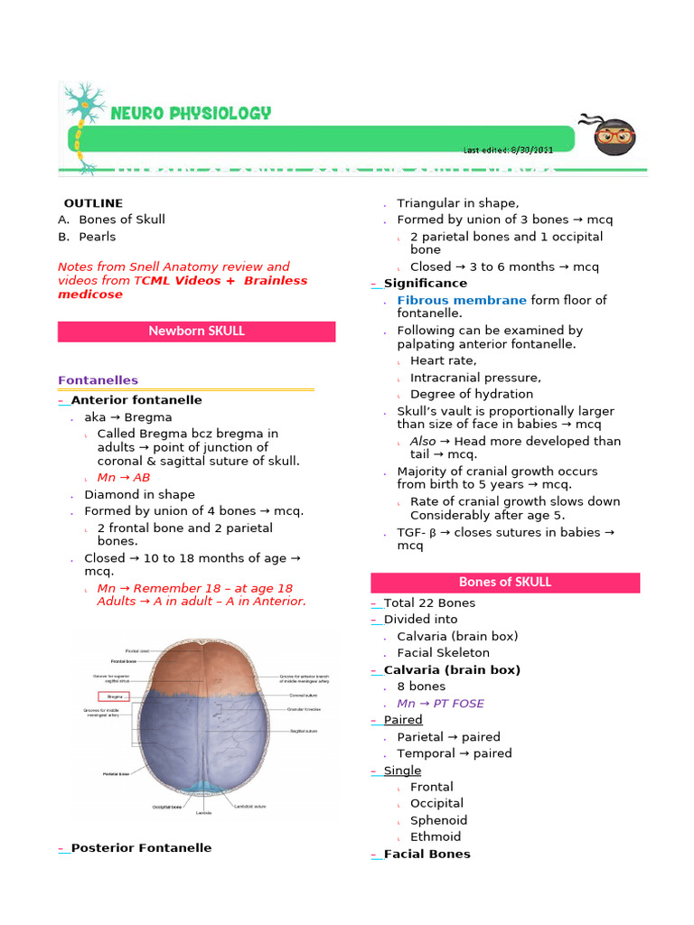 Anatomy of the Skull and Facial Bones | PDF | Skull | Human Nose