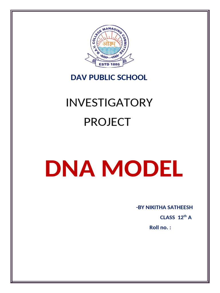 DNA Model Investigatory Project | PDF | Dna | Foreign Language Studies