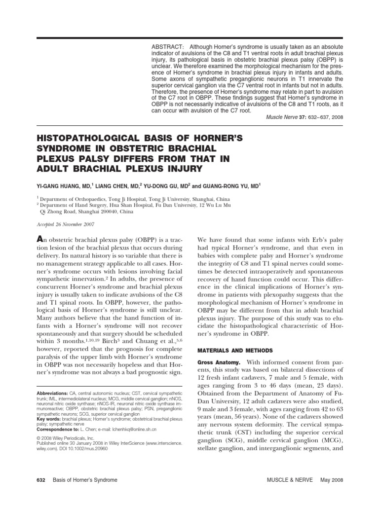 OBPP Horner Syndrome | PDF