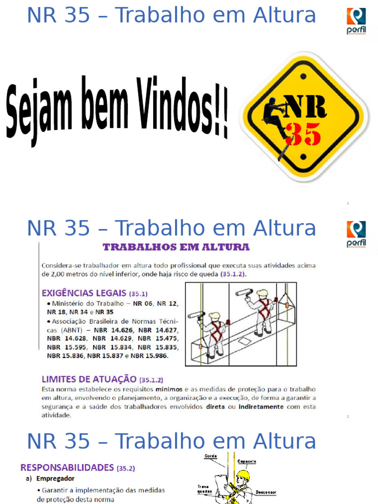 NR - 35 | PDF