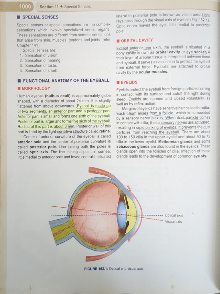2024 - 10 - 03 4 - 25 PM Office Lens | PDF