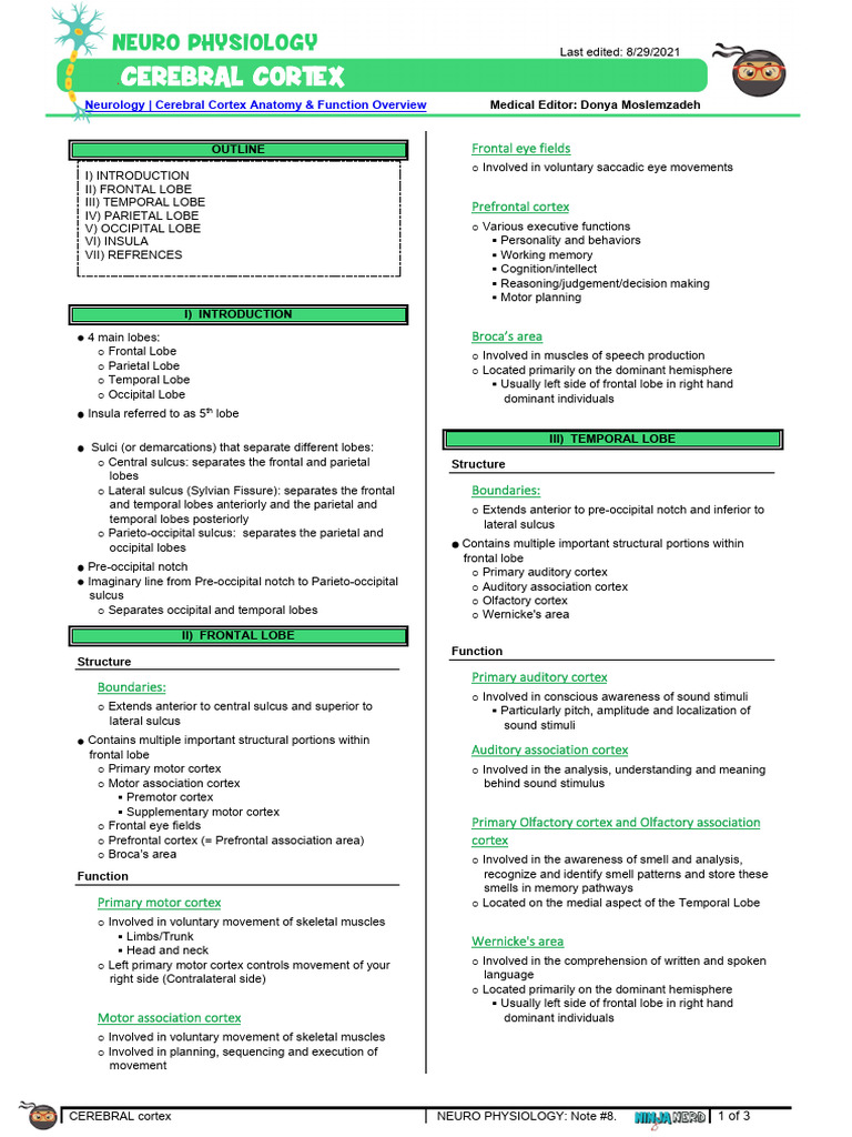 077 Neurology Physiology Cerebral Cortex Anatomy & Function Overview | PDF