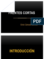 Frentes Cortas