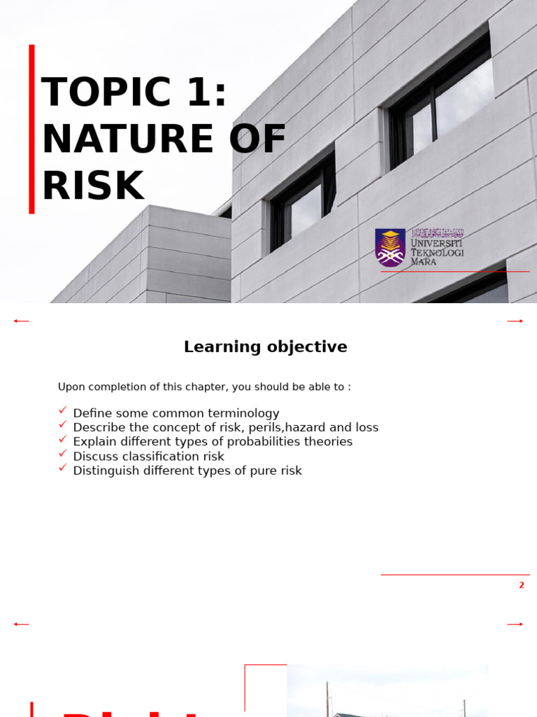 Topic 1 - Nature of Risk | PDF