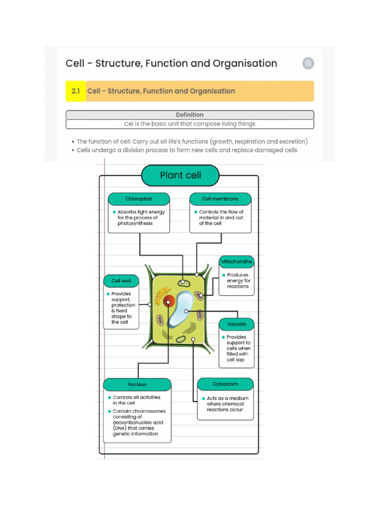 Science Form 1 Notes Chapter 2 | PDF