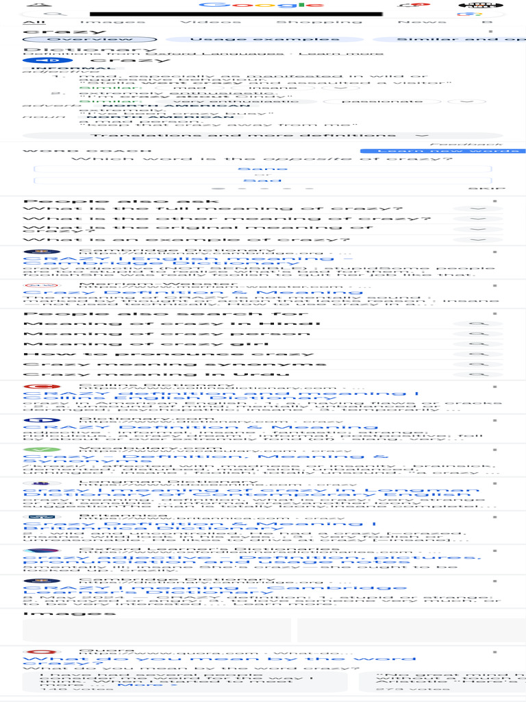 meaning-of-crazy-google-search-pdf