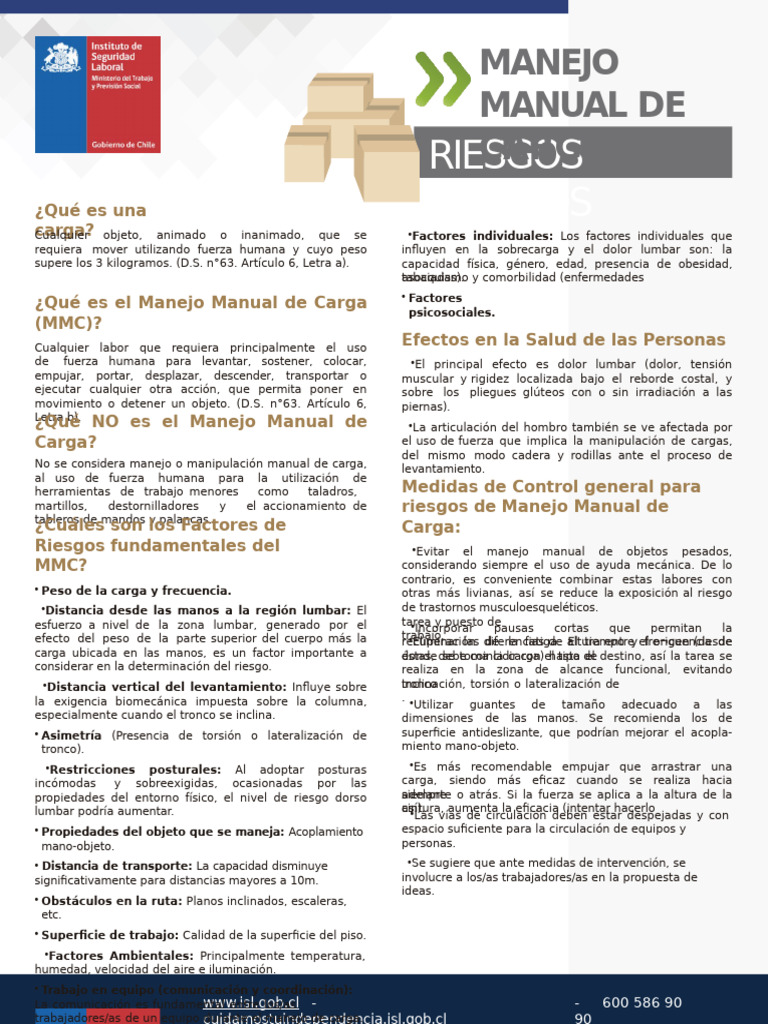 Riesgos y Control en Manejo de Cargas | PDF | Dolor lumbar | Medicina ...