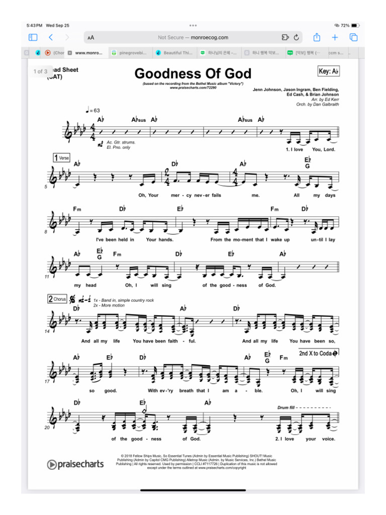 Goodness of God | PDF