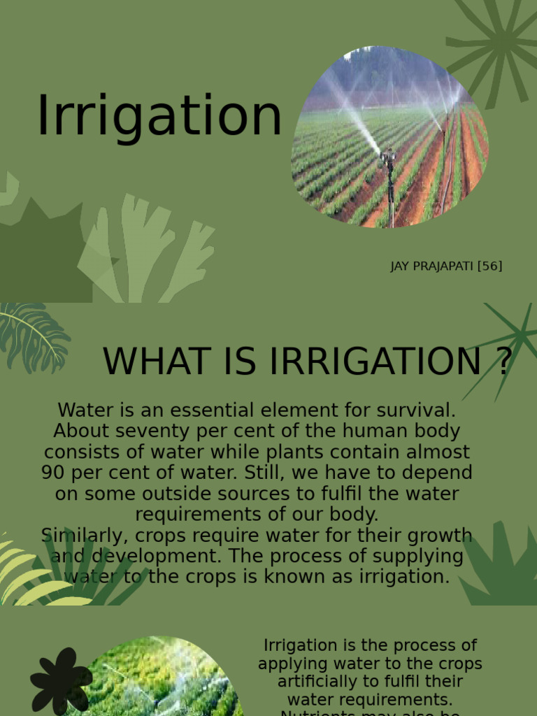 Irrigation visual data 7