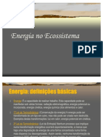 Energia No Ecossistema