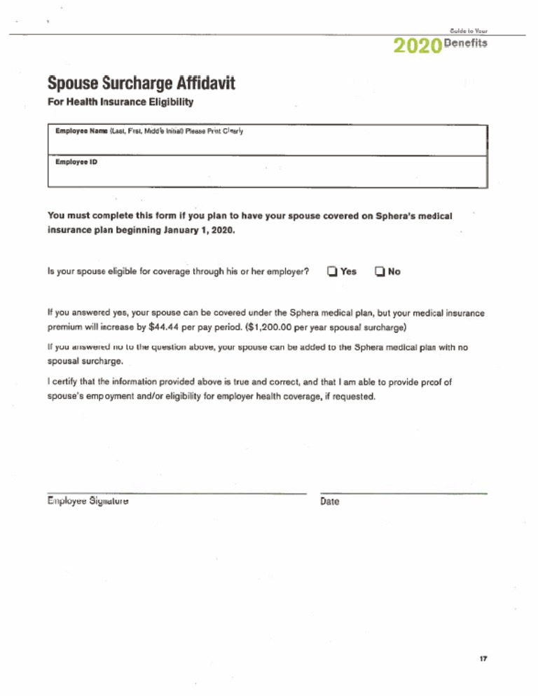 2020 Spouse Surcharge Affidavit | PDF