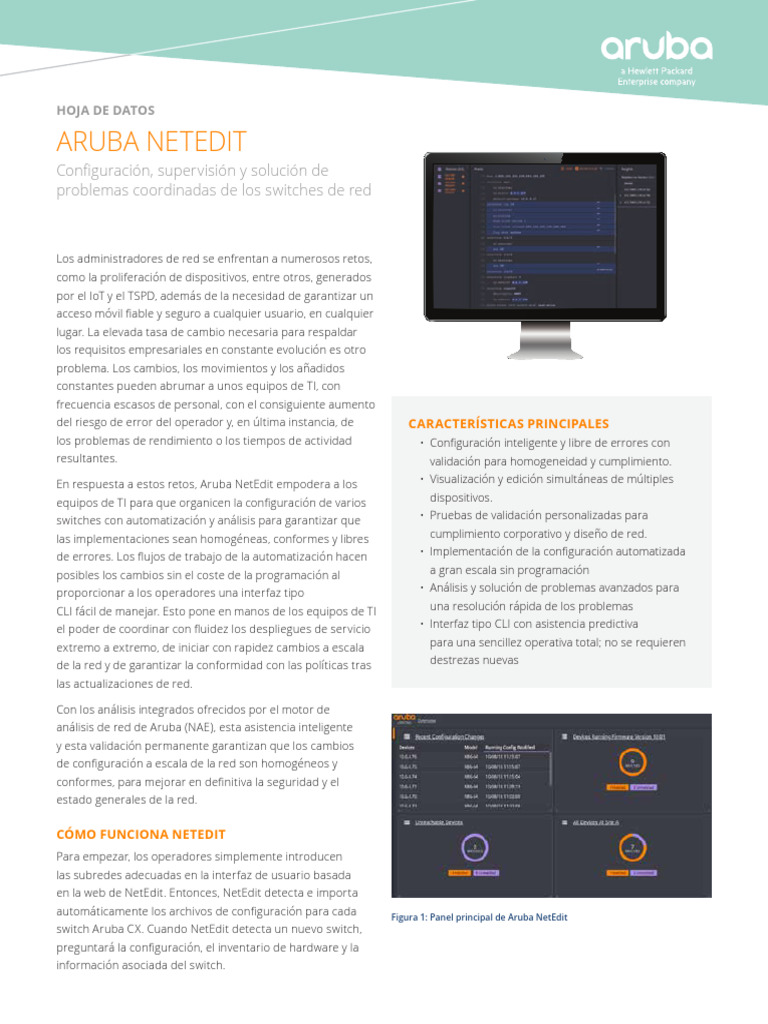 DS - NetEdit HOJA TECNICA | PDF