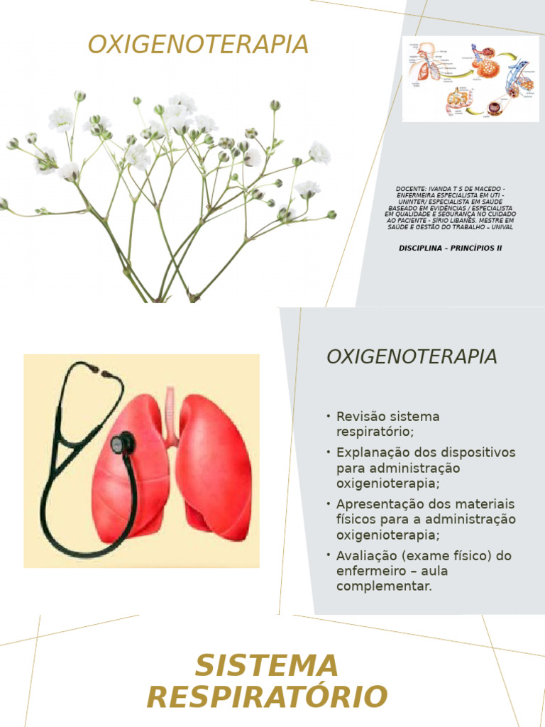 Aula - 01 Introdução O - Parte 1 - Ivanda | PDF