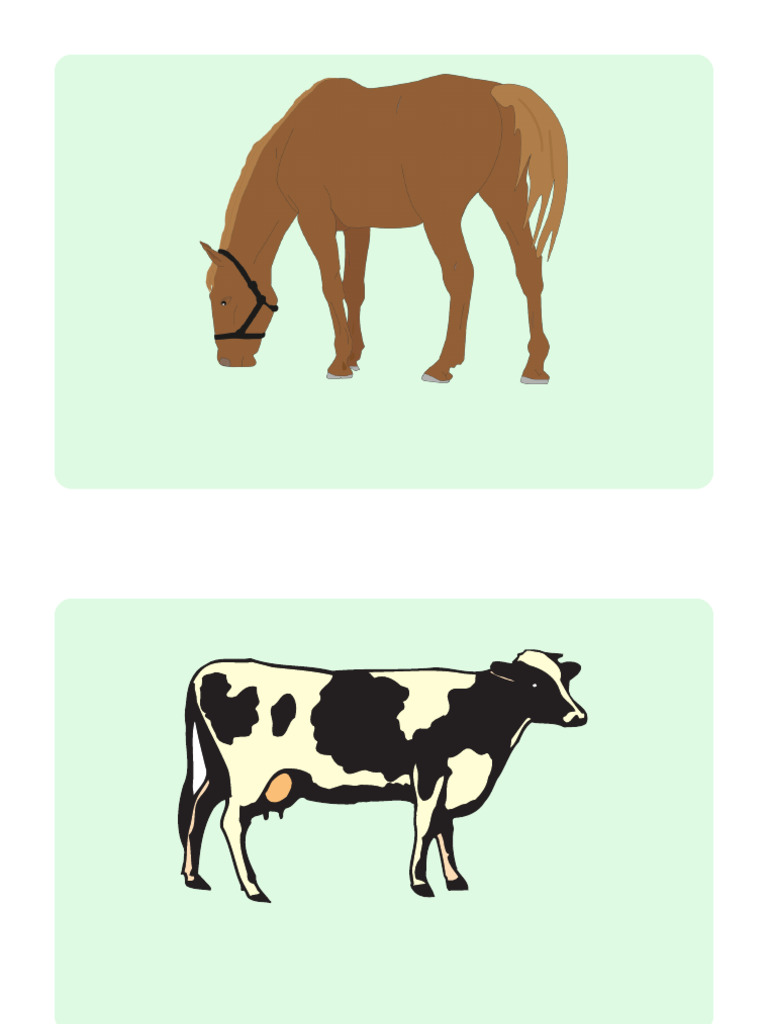 Farm Animals Flashcards | PDF
