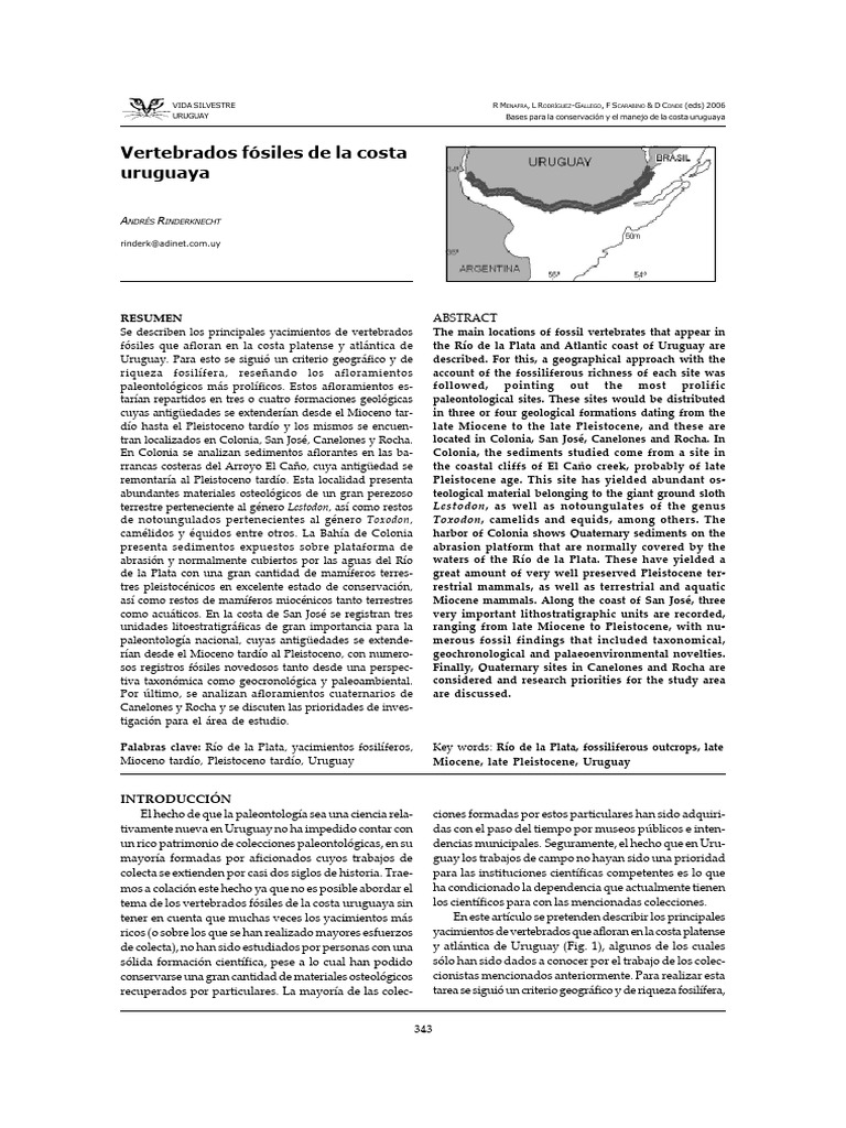 31 Rinderknecht Final CORREGIDO.p65 | PDF
