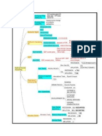 c2 Mind Mapping