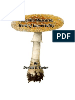 Donald E. Teeter- Amanita Muscaria