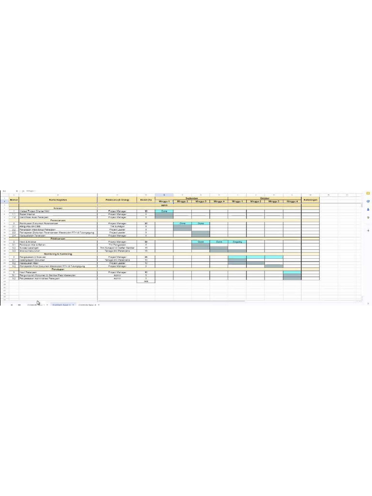 Project Manager | PDF