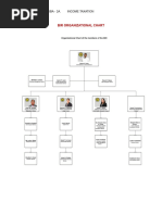 BIR Organizational Structure Overview | PDF | Audit | Taxes