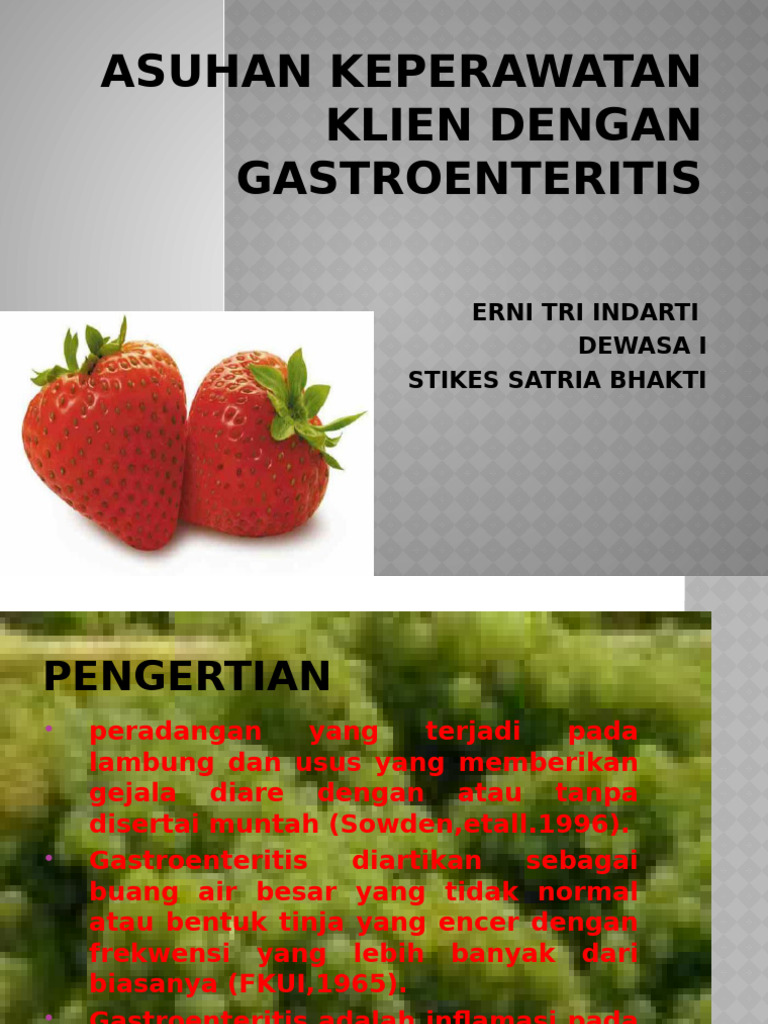 A Askep Gastroenteritis Pdf