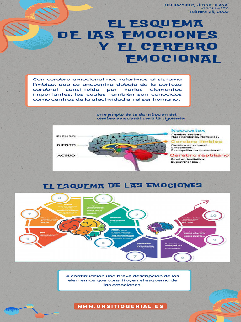 El Esquema de Las Emociones y El Cerebro Emocional | PDF | Las ...