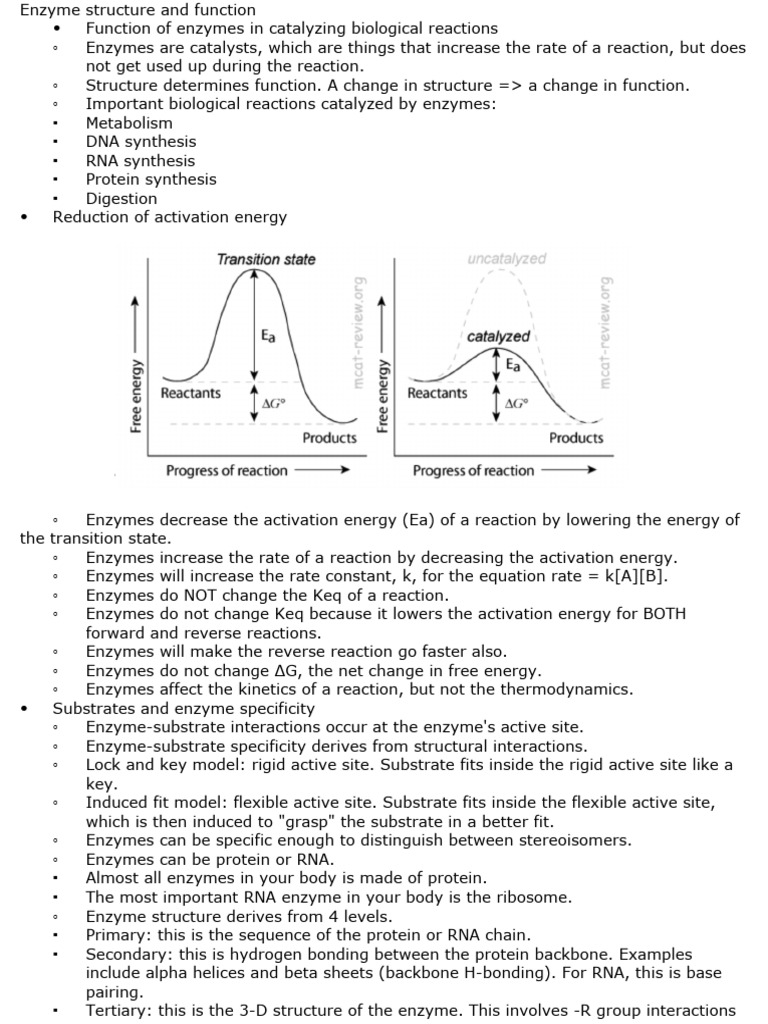 Enzymes | PDF