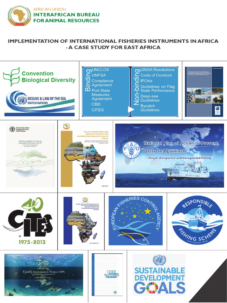 FULANDA BM - International Fisheries Instruments East Africa - en | PDF