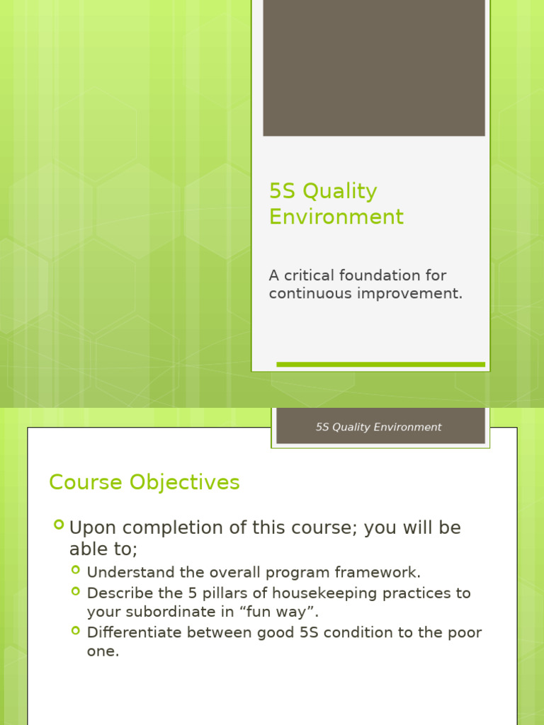 5S Quality Environment | PDF