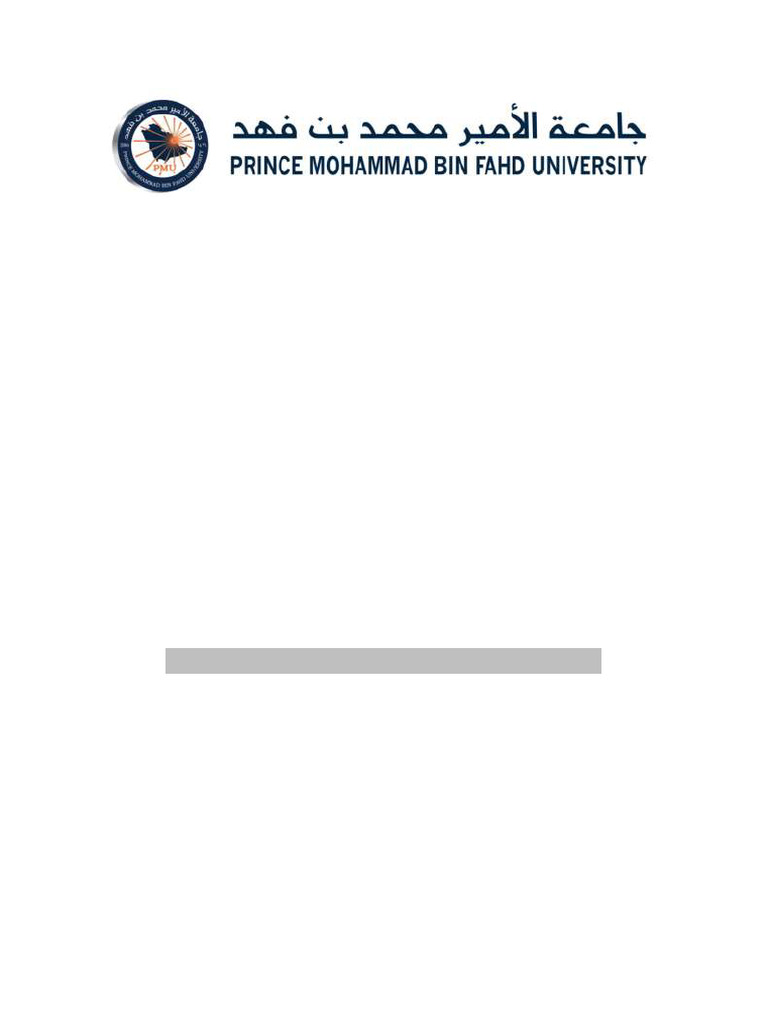 Smart Cleaner Report | PDF
