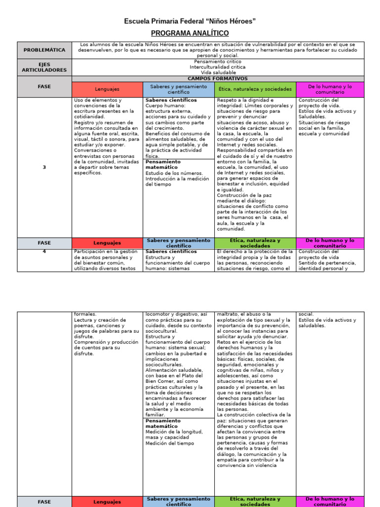 Programa Analítico Ideas | PDF