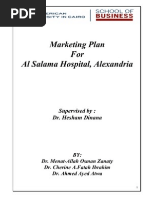 Marketing Plan For A Hospital Pdf Hospital Competition