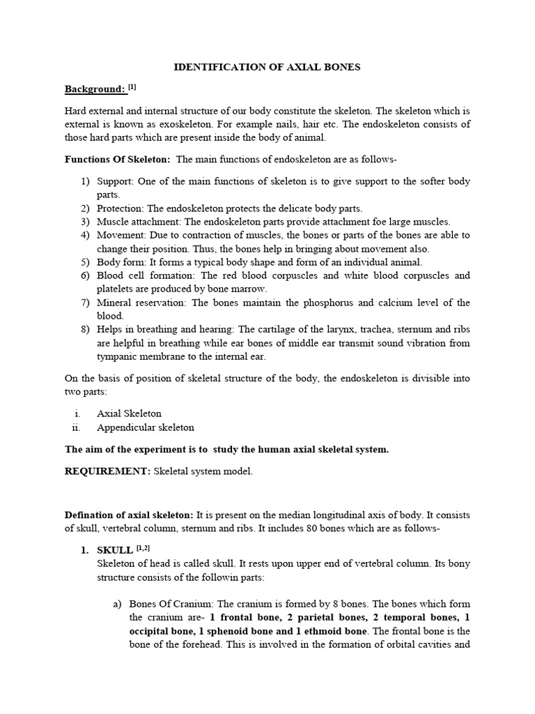Identification of Axial Bones | PDF