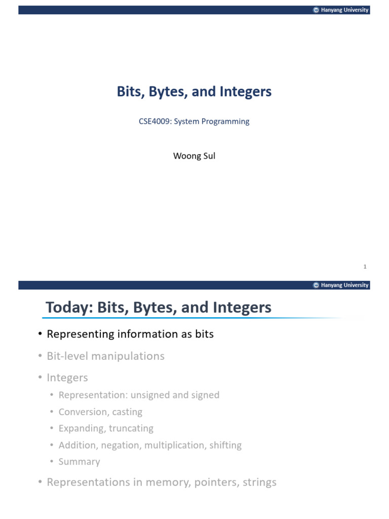 02 03 Bits Ints | PDF