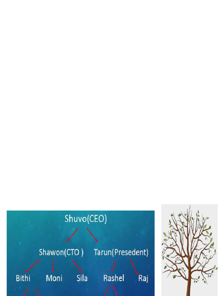 Tree Data Structure | PDF