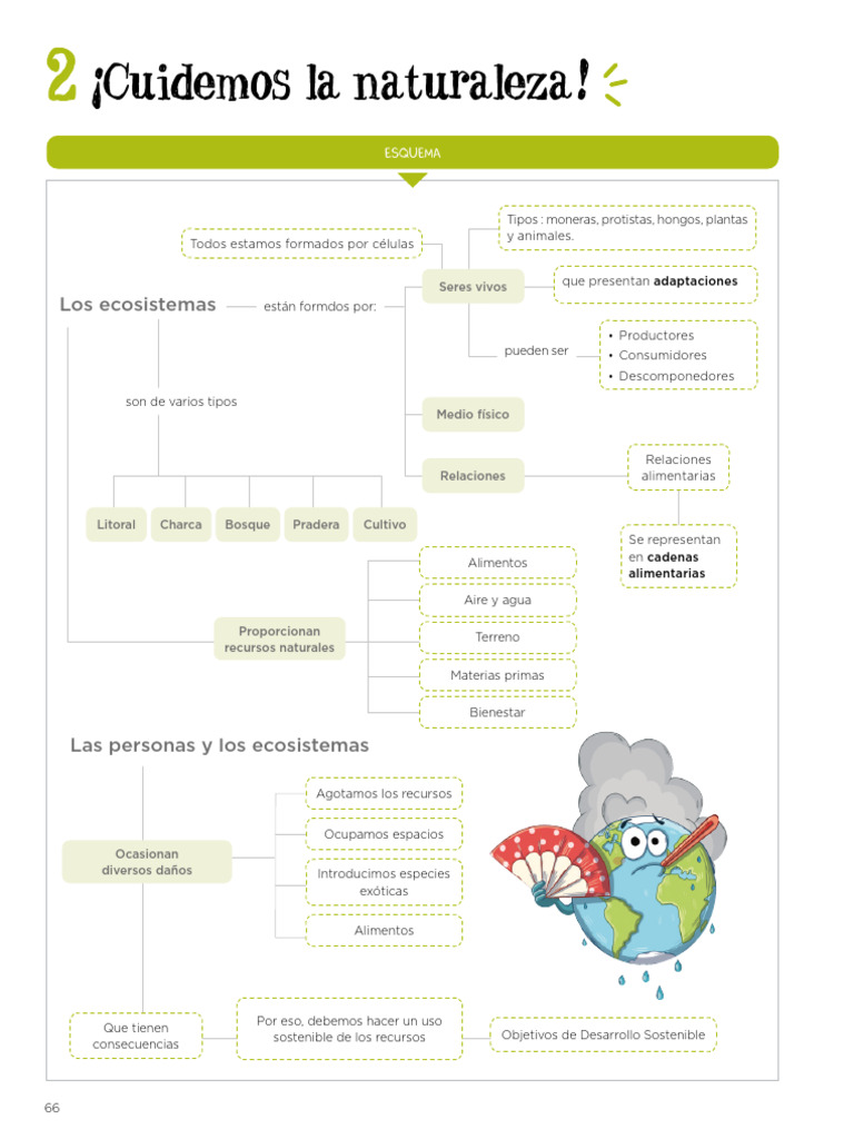Esquema Tema 2 Cono Repaso Ev. Inicial | PDF | Ecosistema | Ciencia ...