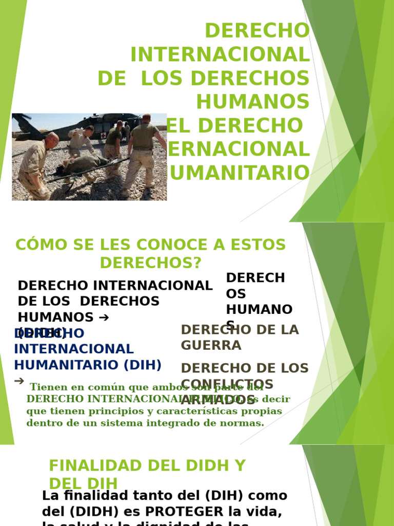 Derecho Internacional de Los DDHH | PDF