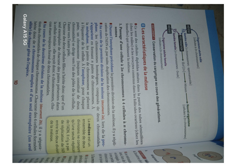 SVT Support 2 | PDF