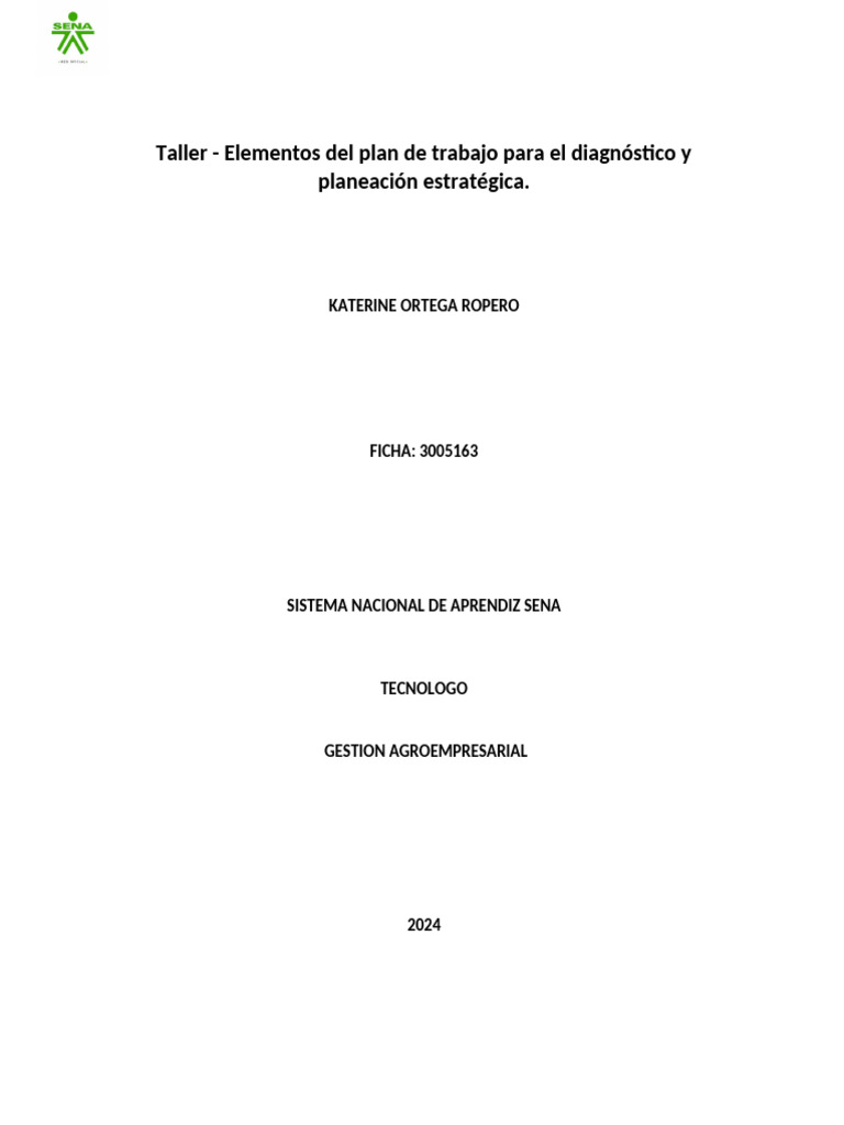 taller elementos del plan de trabajo para el diagnostico y planeacion
