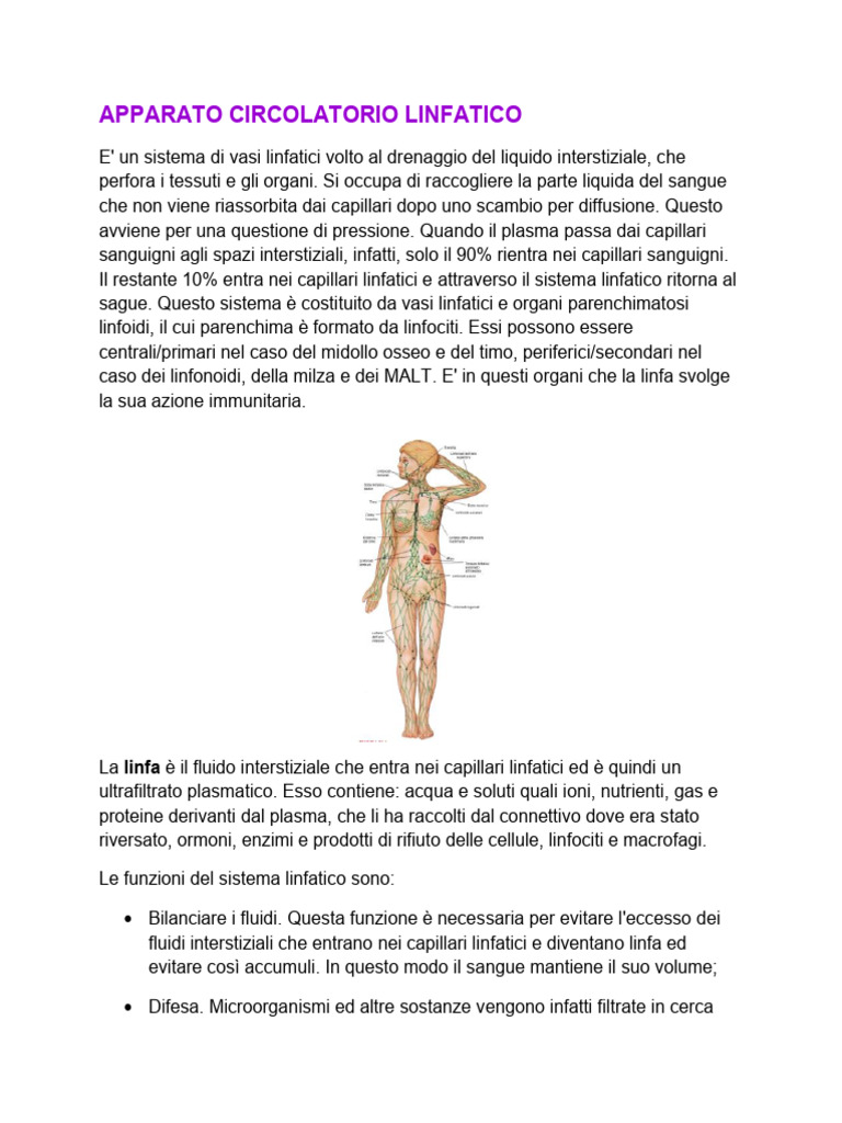 Apparato Circolatorio Linfatico Pdf
