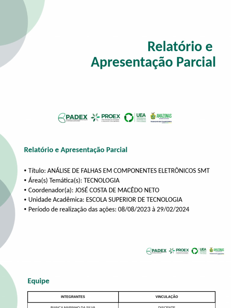 Modelo de Apresentação Relatorio Parcial Padex | PDF