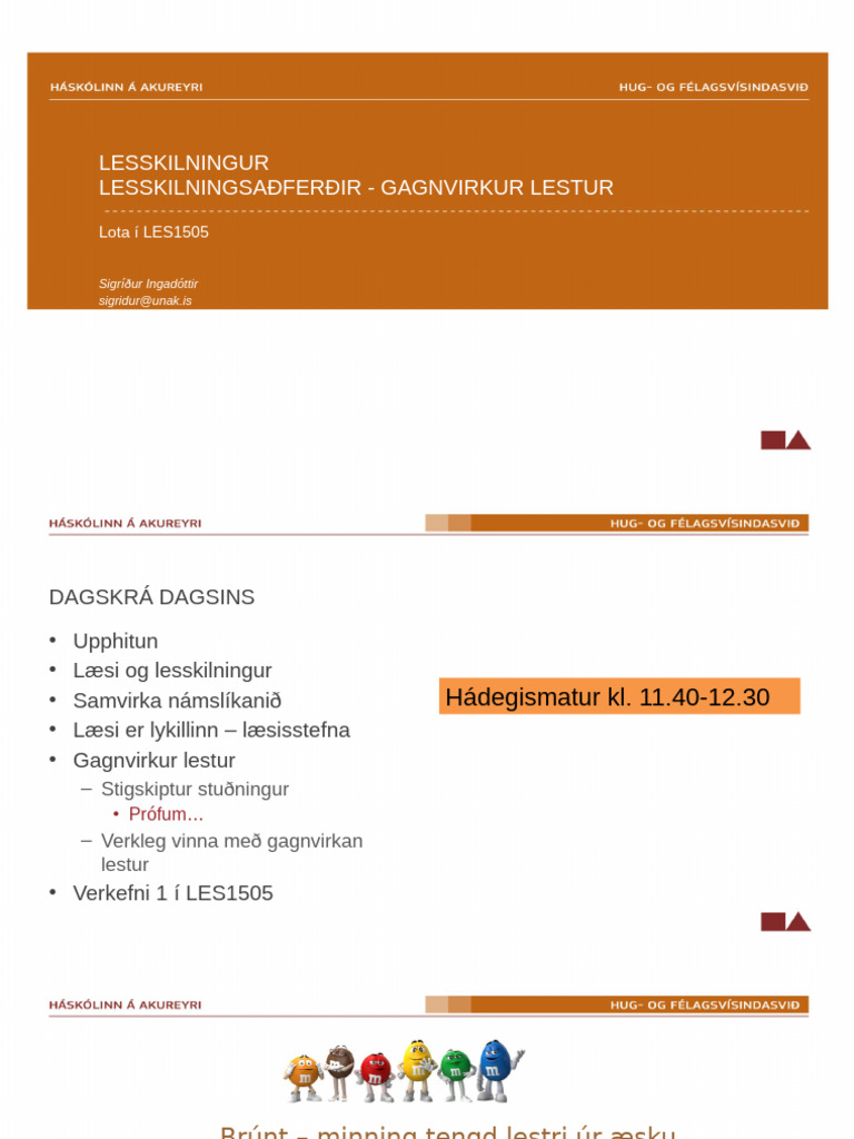 Lesskilningur Og Gagnvirkur Lestur | PDF