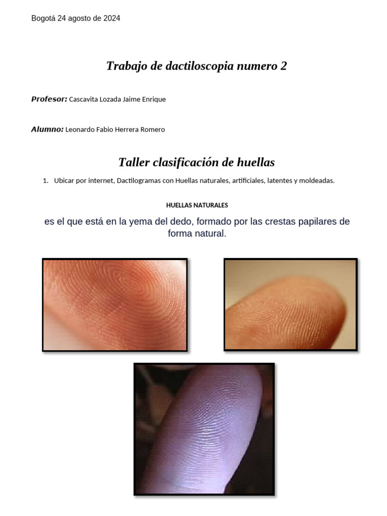 Dactiloscopia 2-HERRERA | PDF