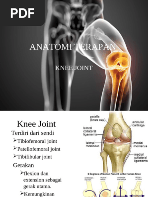 Qizlar yigitni videodan mahrum qilishdi