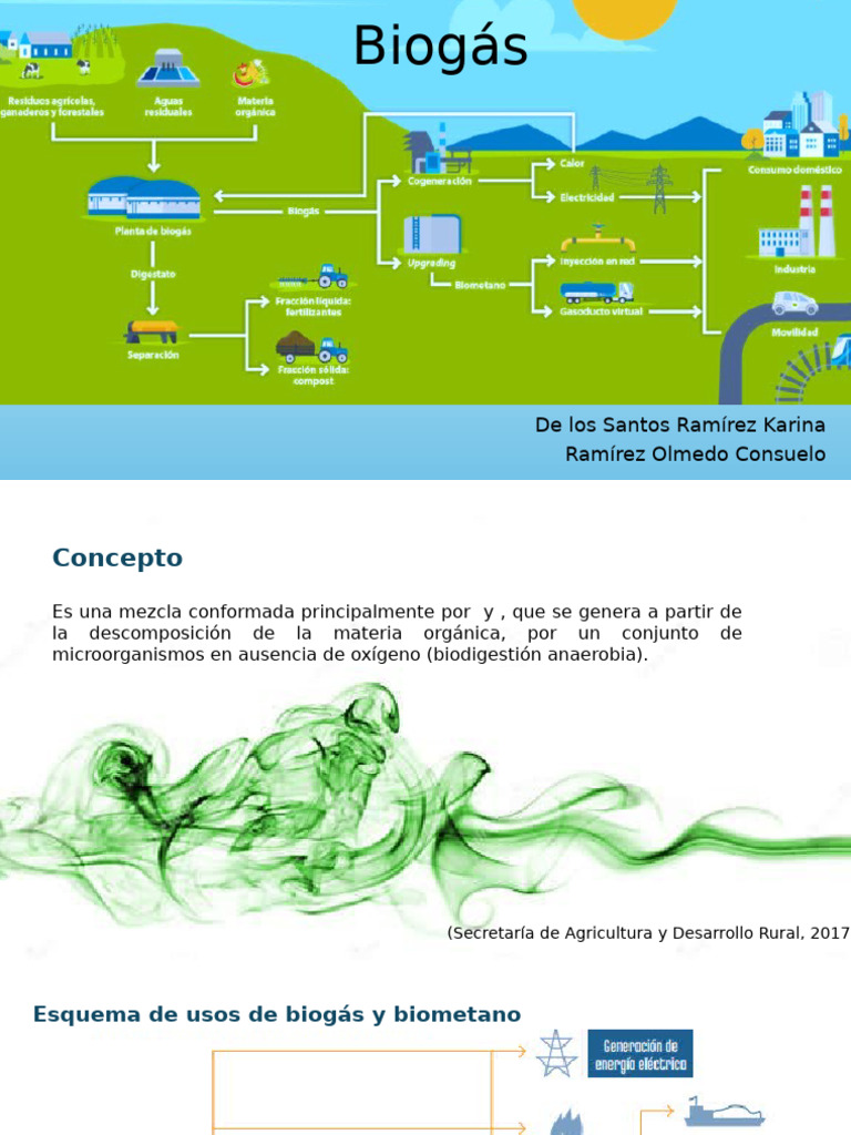Biogas | PDF